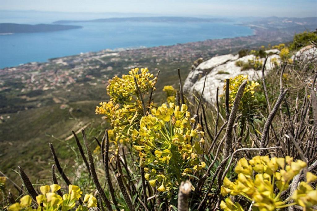 Apartmani Strada Kaštela エクステリア 写真